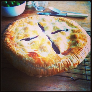 My blueberry pie